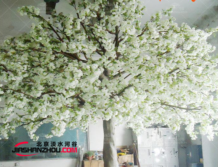這個(gè)仿真樹流蘇樹廠家制作世界著名觀賞性仿真樹國內(nèi)外皆有施工