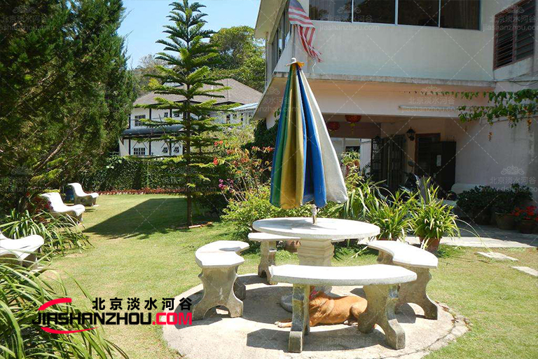 仿真樹(shù)留住美瞬間-歐式別墅道黃杉場(chǎng)景效果圖賞析