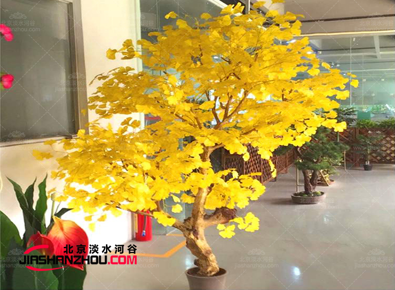 要么不做要做就做優(yōu)質(zhì)精品仿真樹這家廠家靠譜