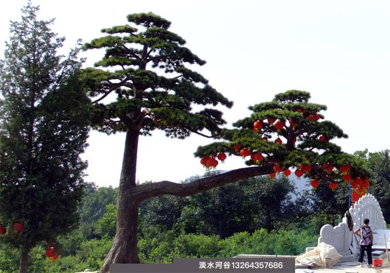 現(xiàn)場(chǎng)制作仿真松樹(shù)，工藝精美效果逼真—北京圣園工程
