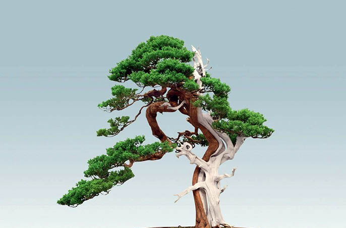 仿真柏樹(shù)