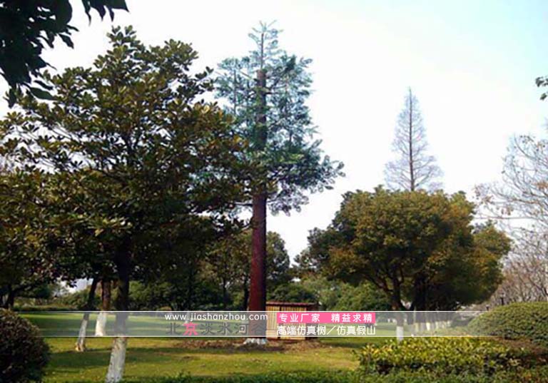 信號(hào)塔樹(shù)