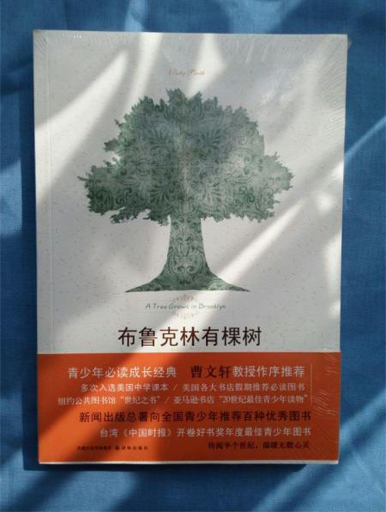小說(shuō)《布魯克林的樹長(zhǎng)大》